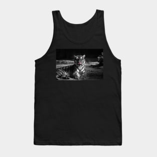 tiger, black and white Tank Top